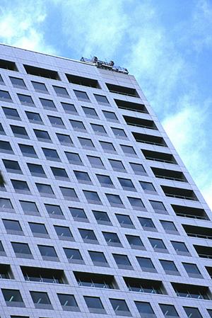 家族で楽しむ安全なアスレチック施設の設計と工事のポイント完全ガイド