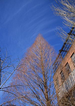 藤沢エリアの物件を豊富に取扱う不動産会社